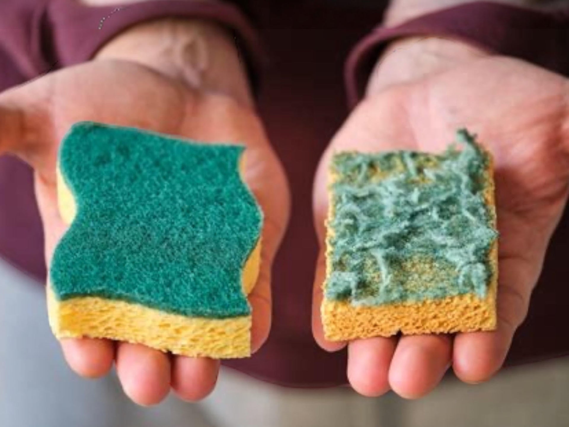 Replace Your Kitchen Sponge More Often Than You Think